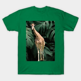 Long Necked Giraffe Surrounded by Green Leaves T-Shirt